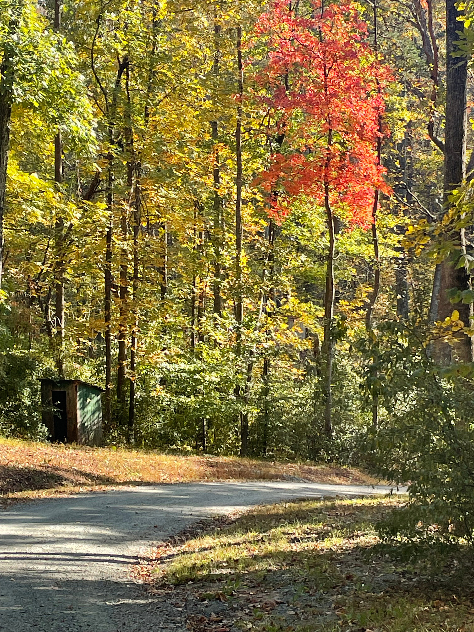 Ridgecrest Hollow