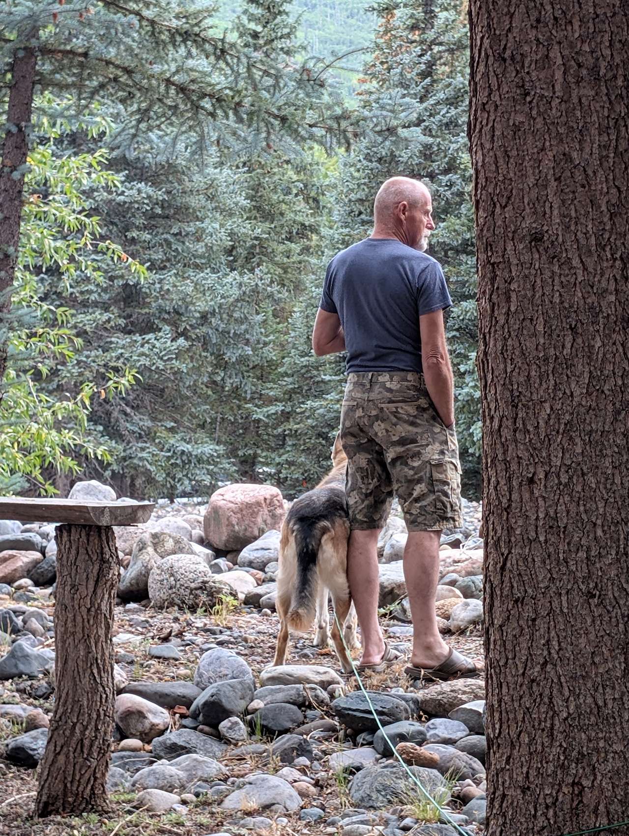 Vallecito Creekside RV Parking