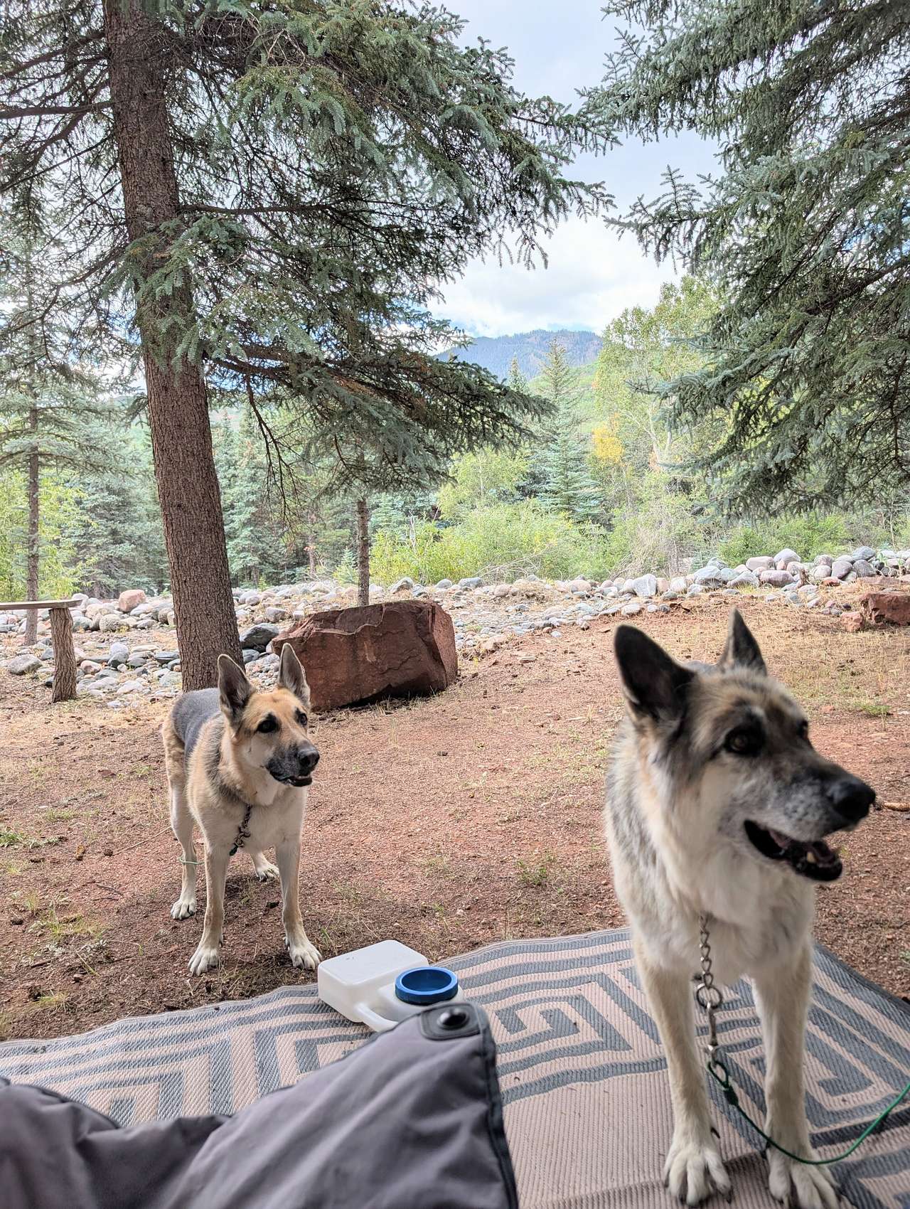 Vallecito Creekside RV Parking