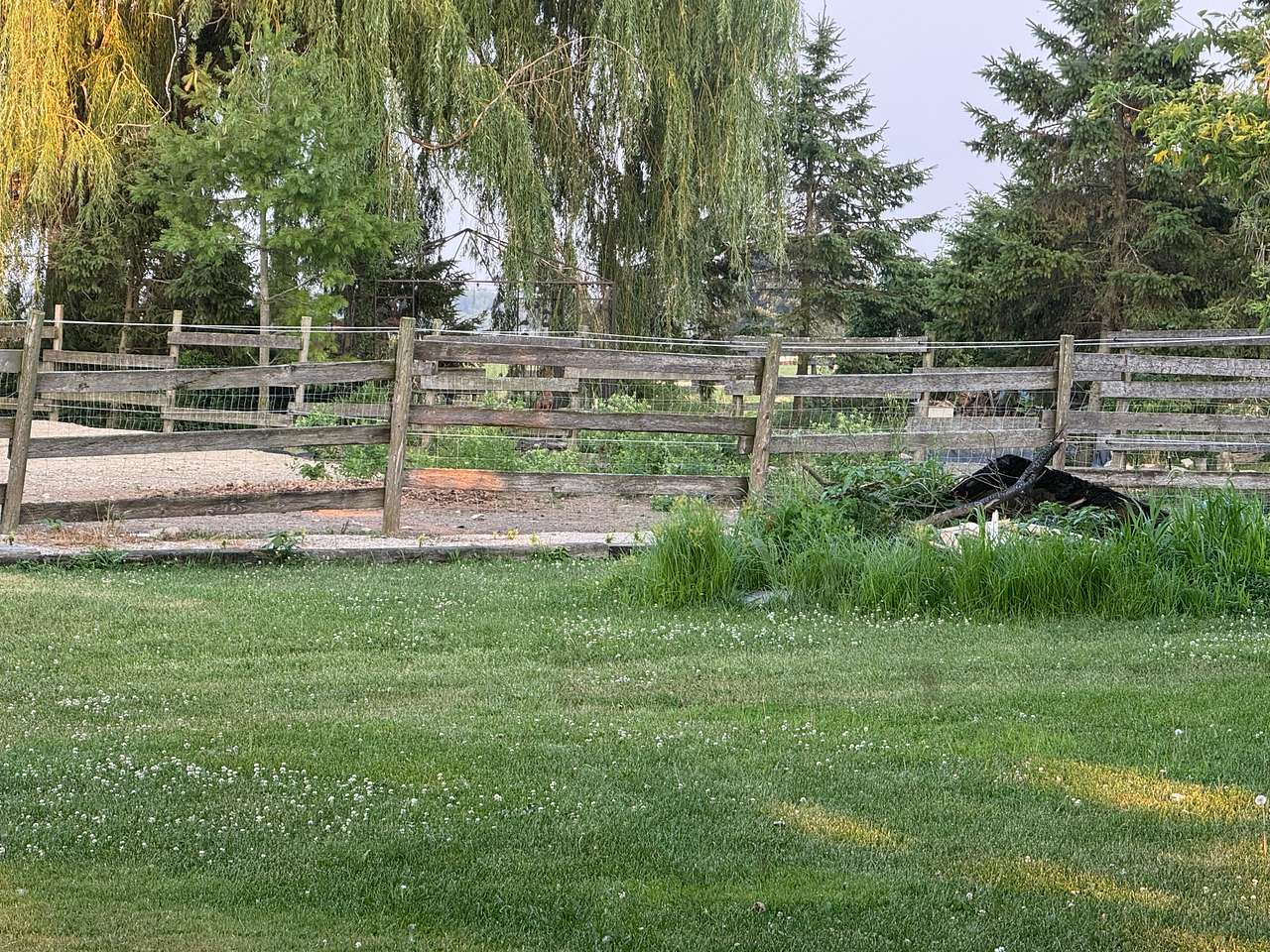 Country Sunset Stables
