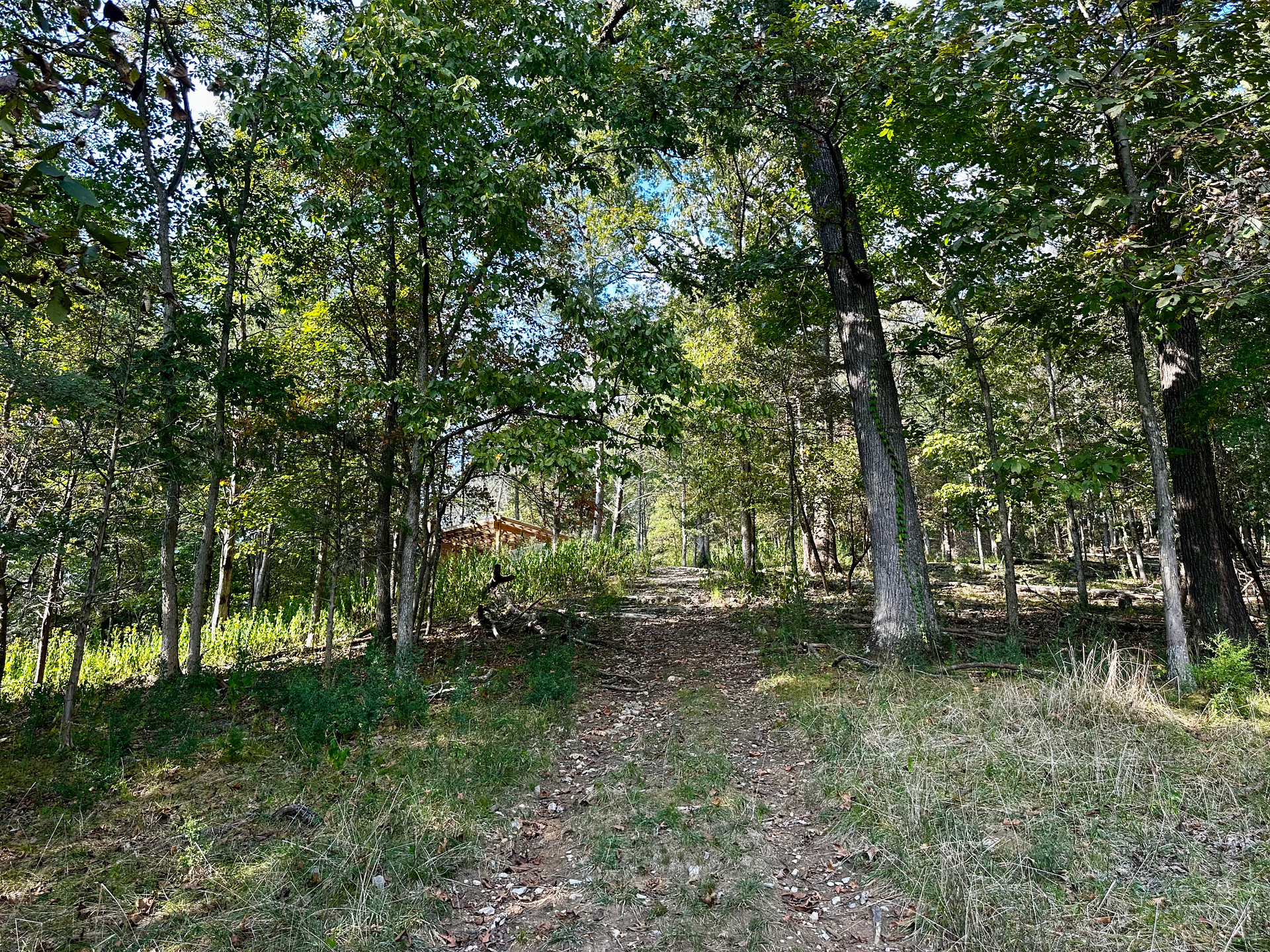 Quail Run Farm