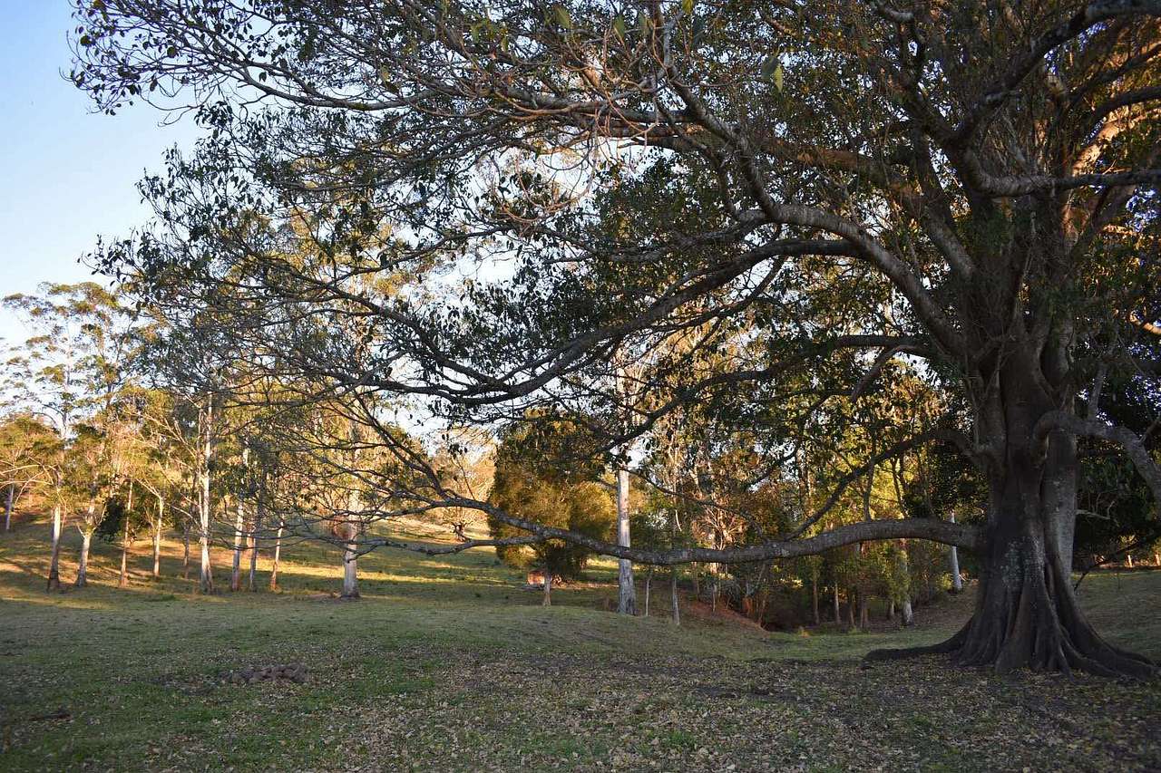 The Hills - Stony Creek Camp