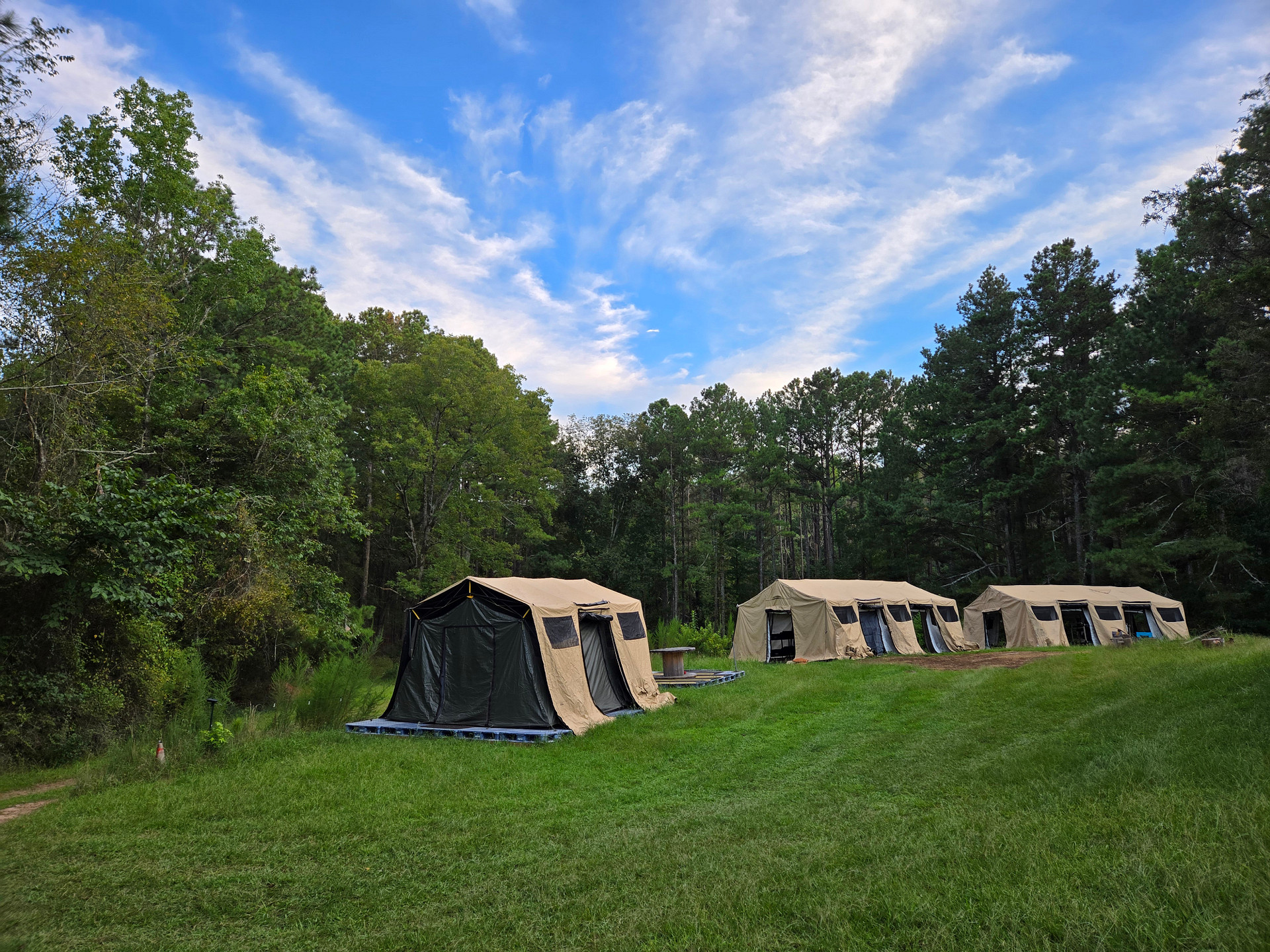 Wellness and Nature