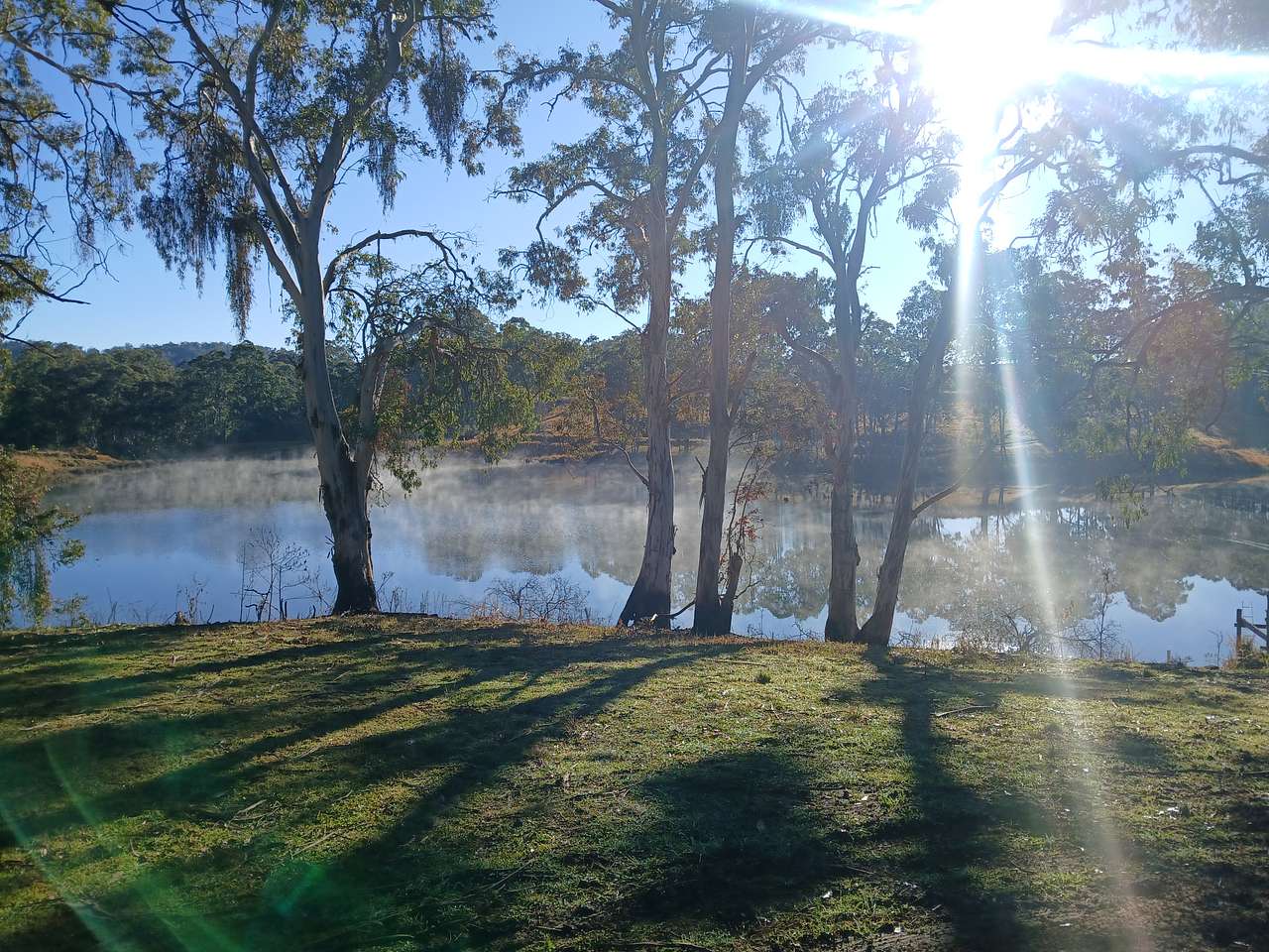 Booma Farm