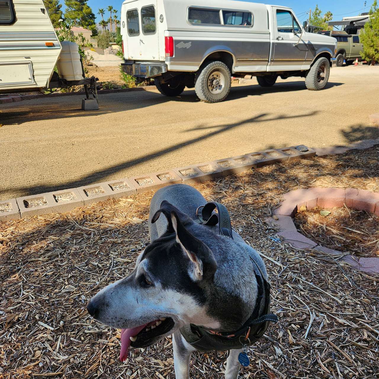 Mom's RV Spot