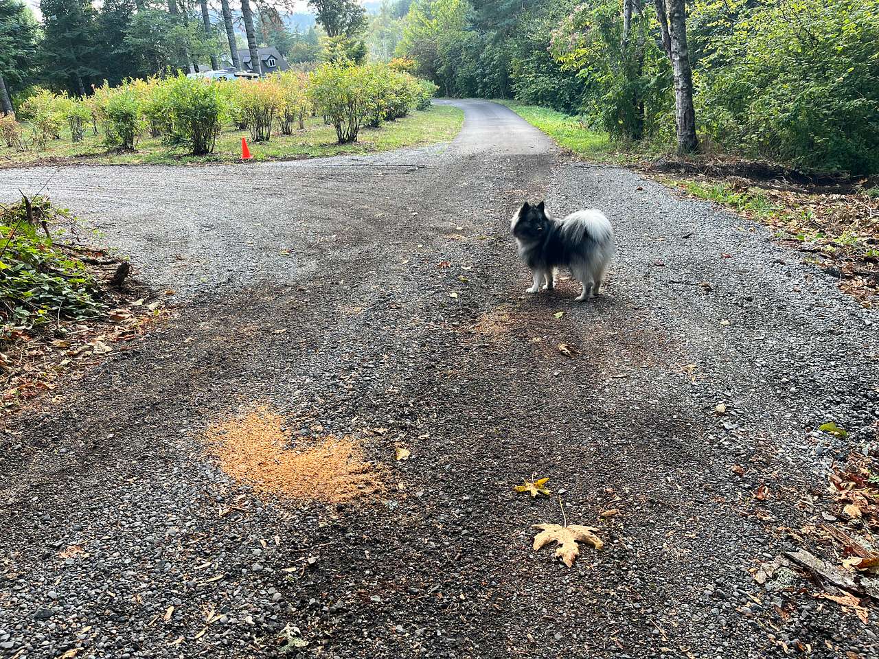Scenic RV sites Near Columbia Gorge
