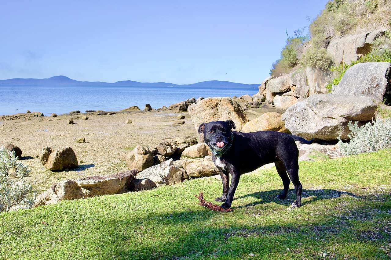 BIG4 Wilsons Prom Holiday Park