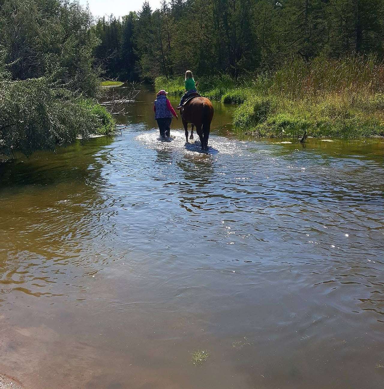 NC River Ranch – I-80 RV & River Camping