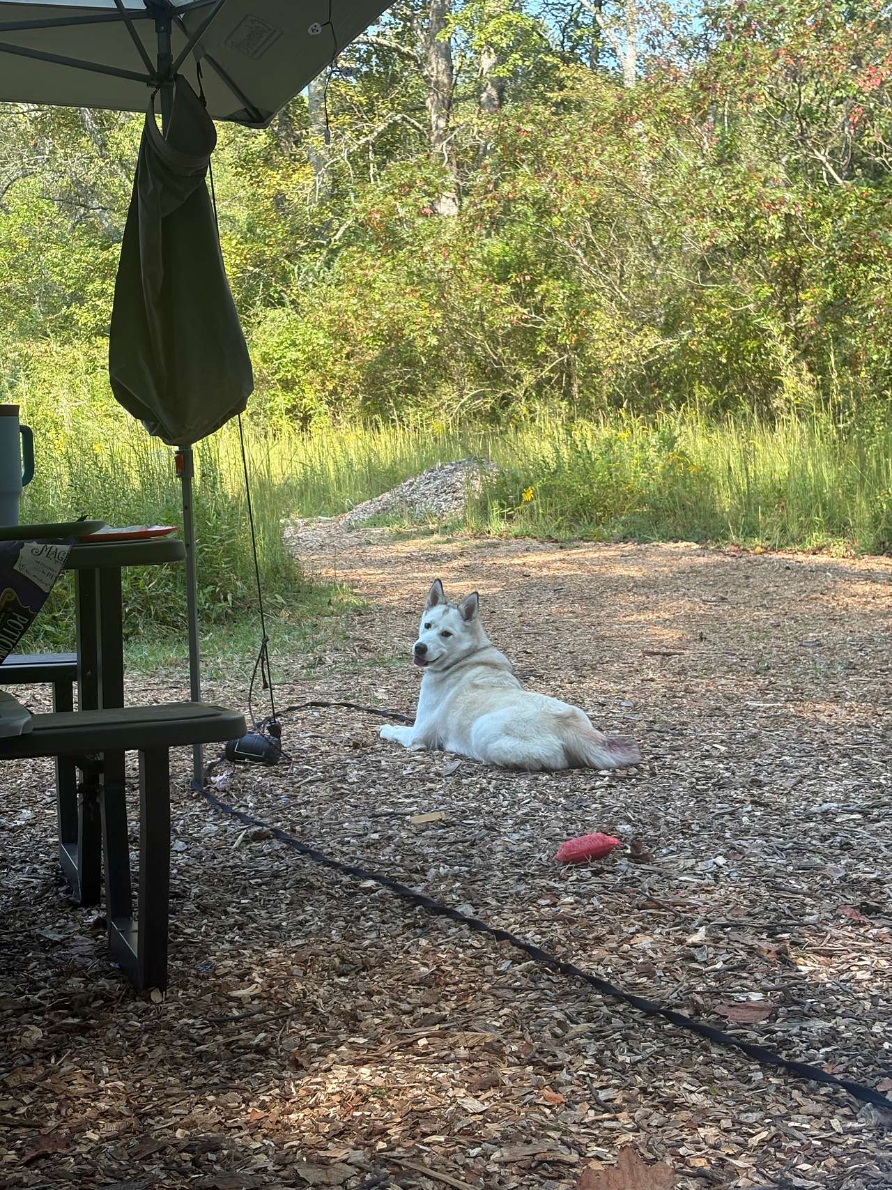 Rest And Relax Retreat