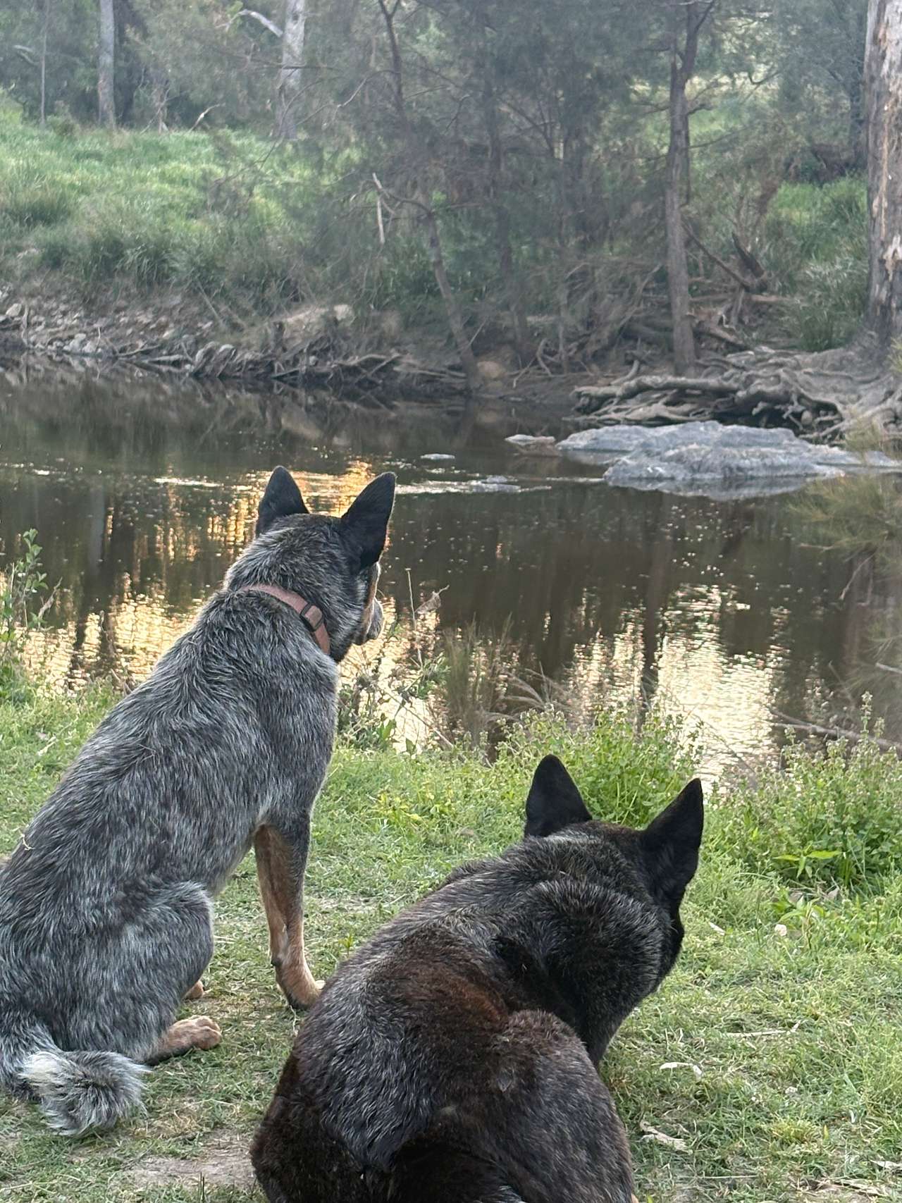 Namoi Valley Escape