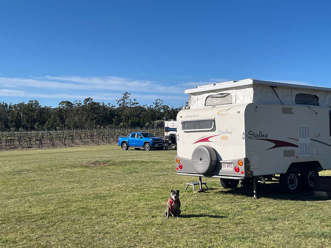 Mountview Wines Camping and Cabins