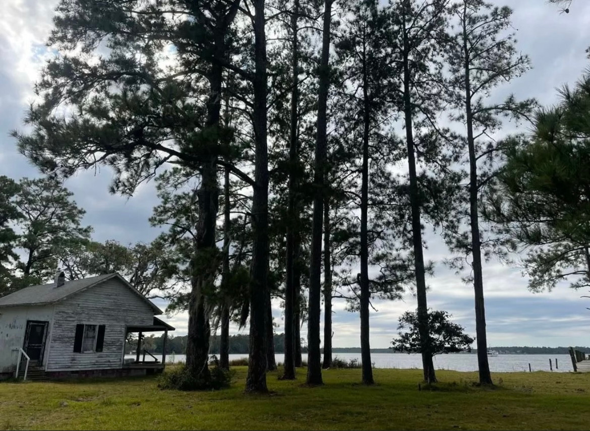 160 Acres  1700's waterfront forest