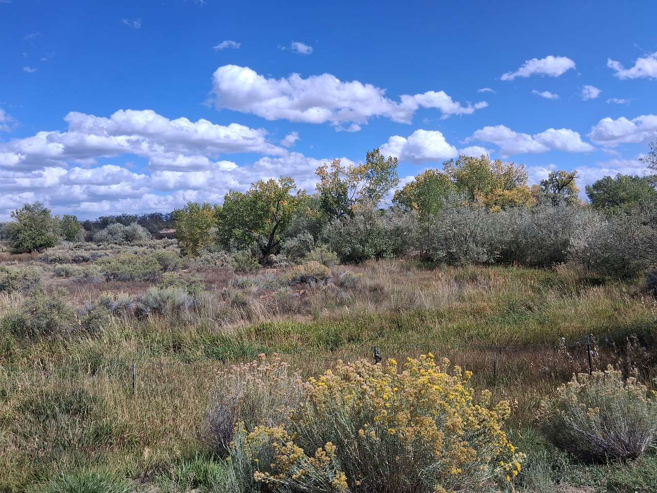 View across property toward Dragonfly Camp on far left, not entirely visible