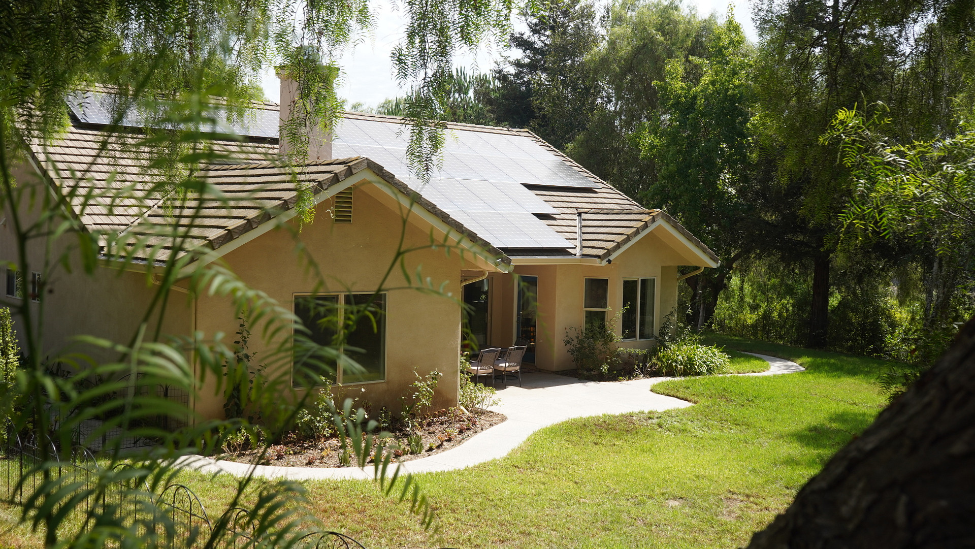 Zava Ranch - Avocado & Lemon Grove