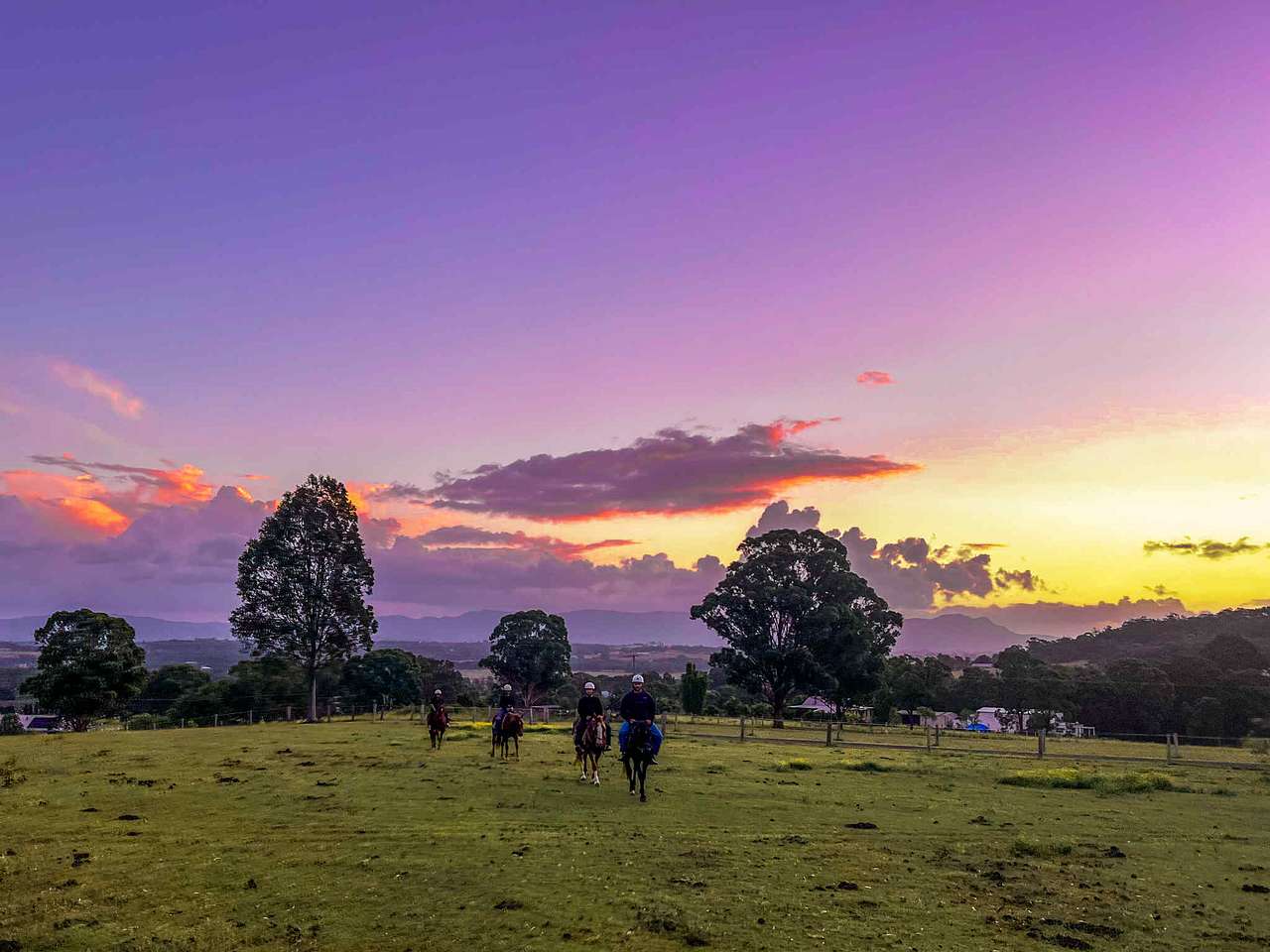 Lovedale Farm Stay  & Horseriding
