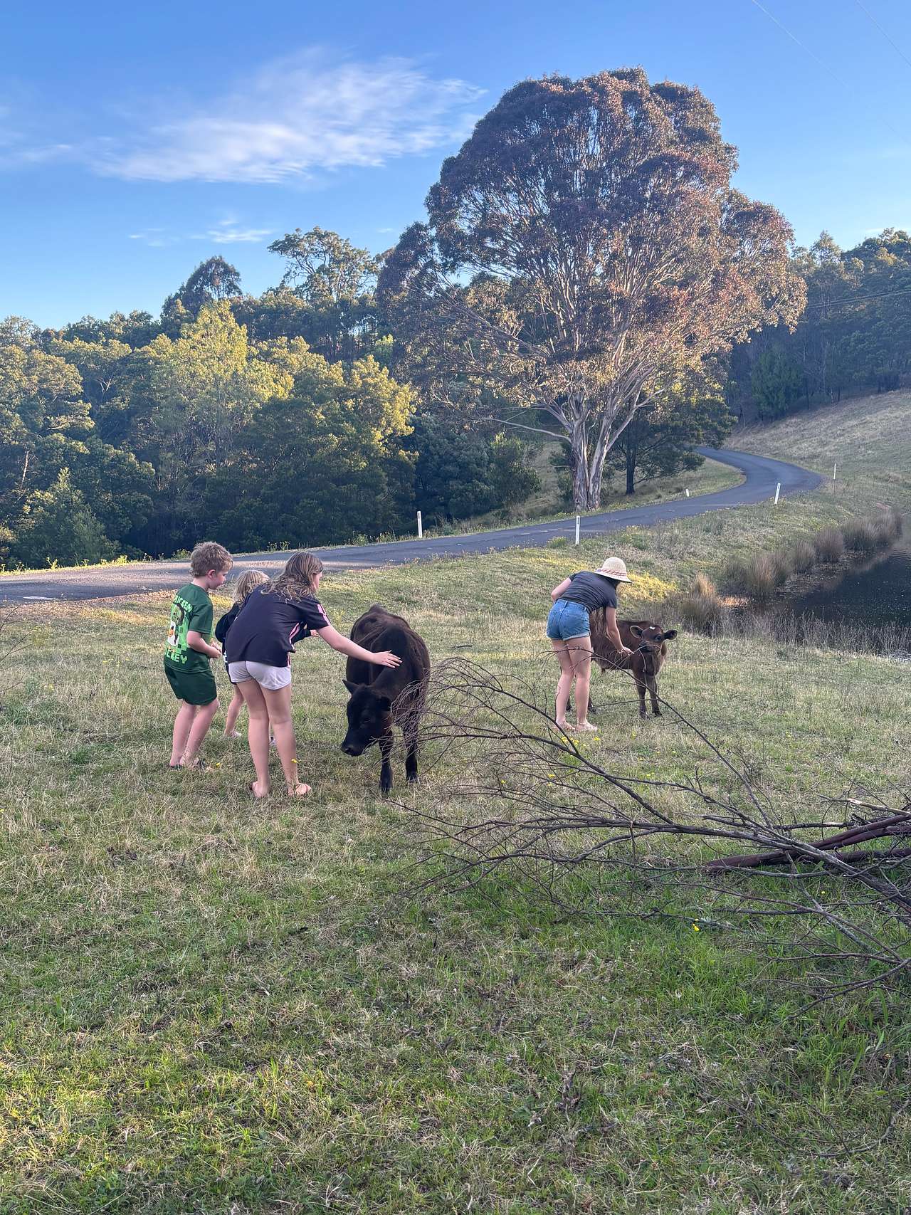 Bega Valley and Mountain Views