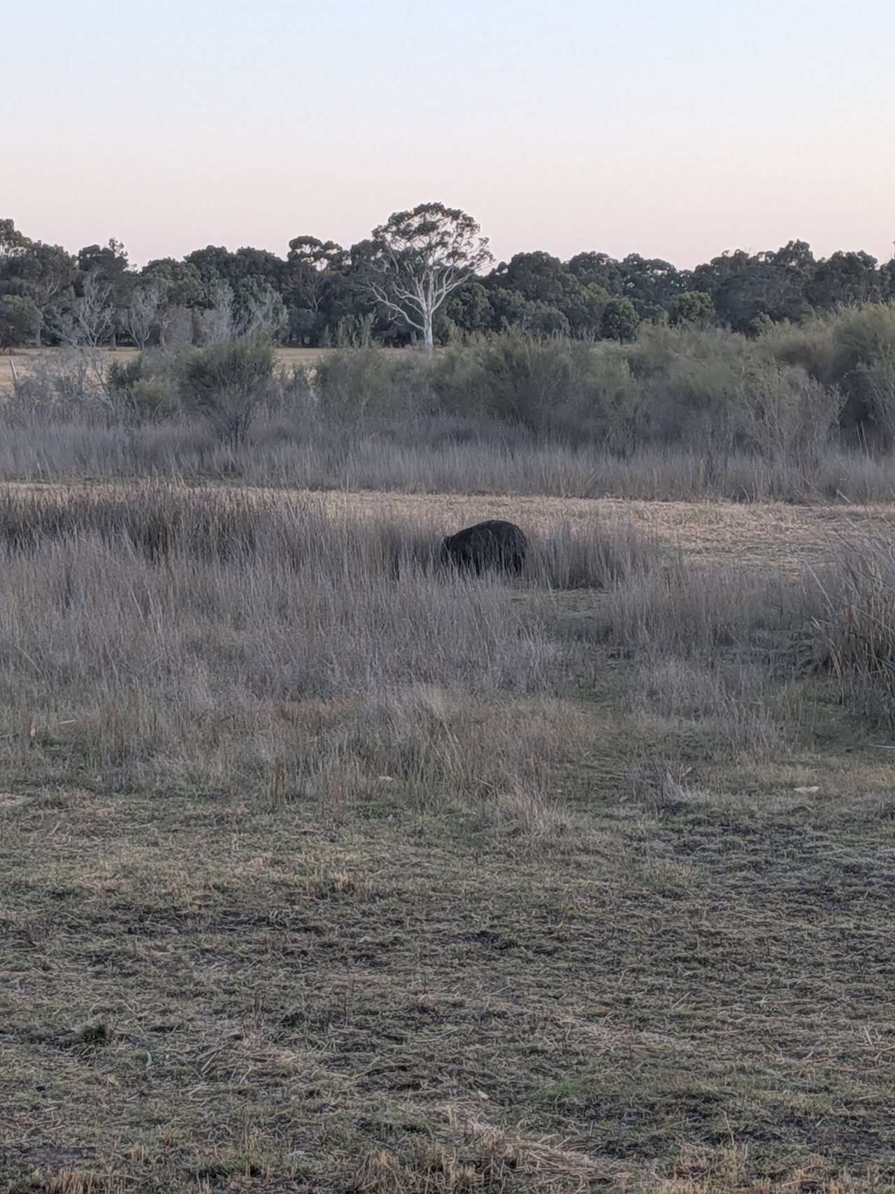 Nick's Nook