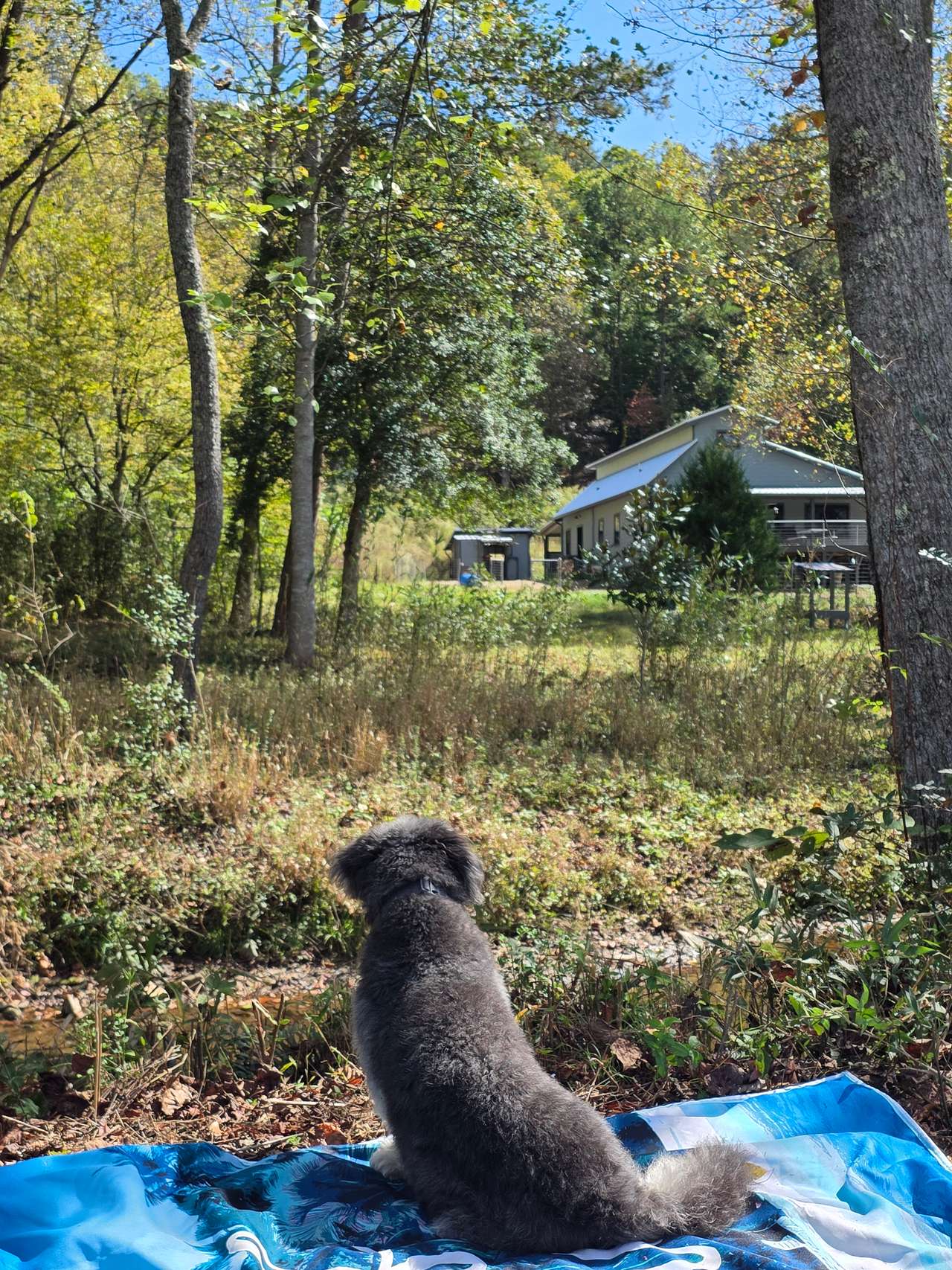 Rest And Relax Retreat