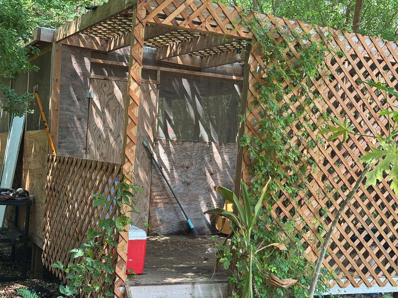 The Hidden Food Forest