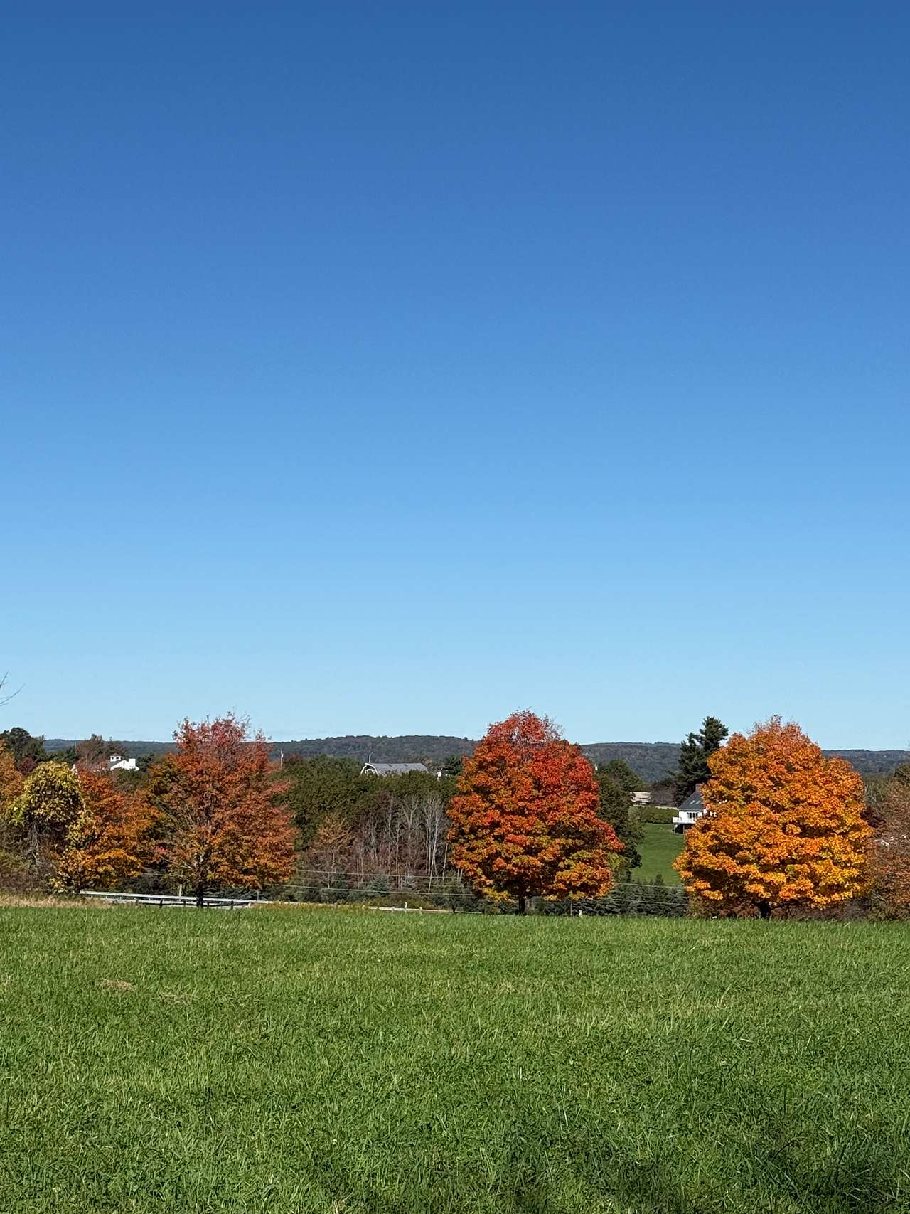 Laurel Ridge Farm
