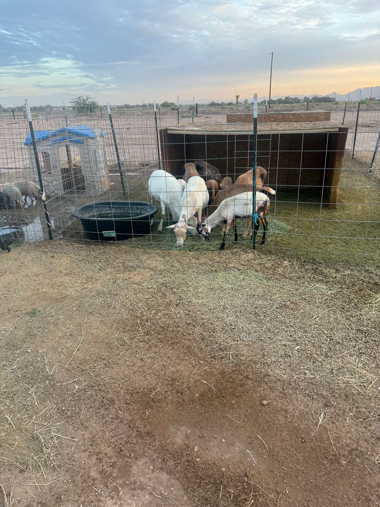 Hobby Farm Oasis