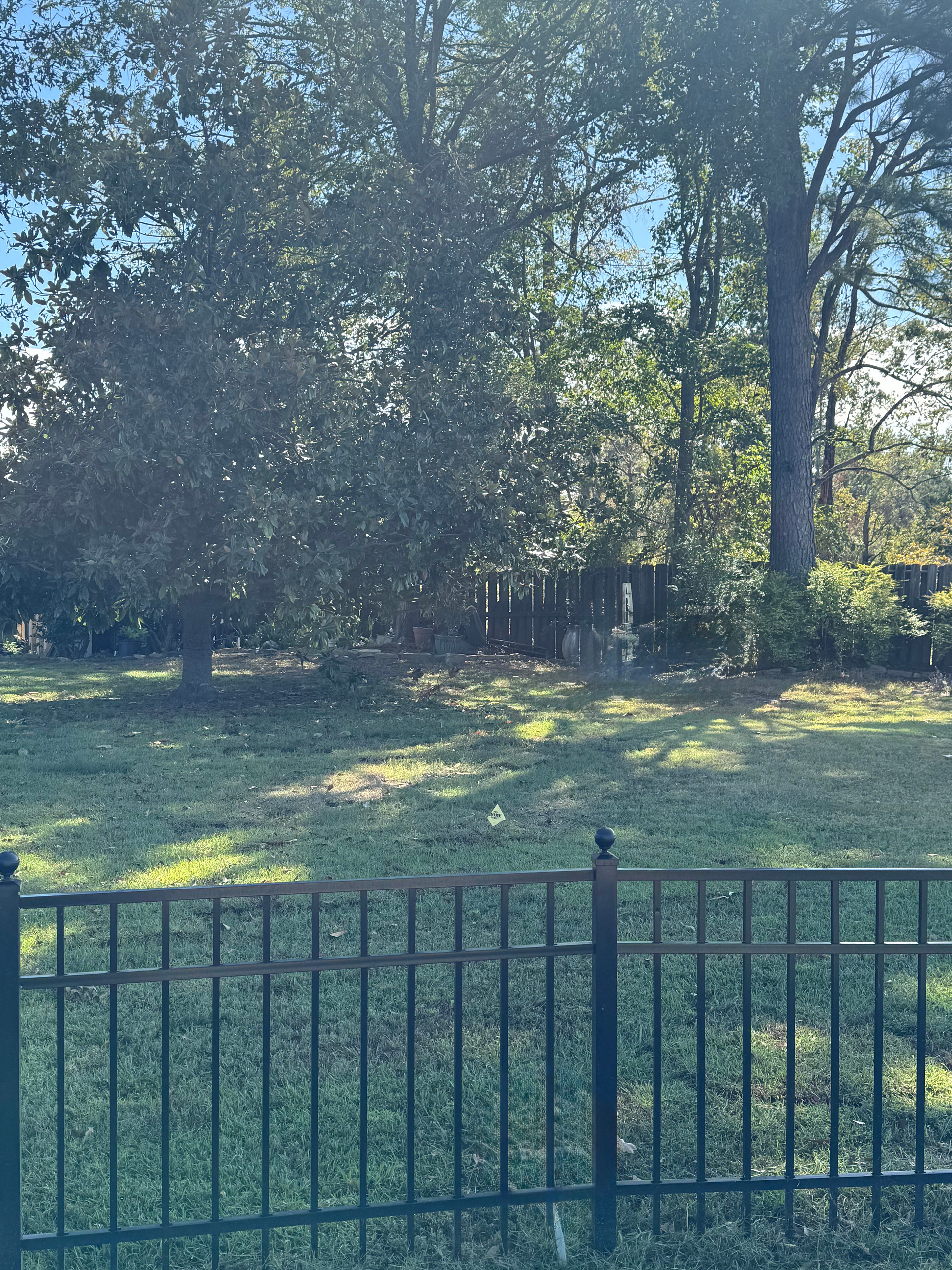 Lake Tuscaloosa "glamping"