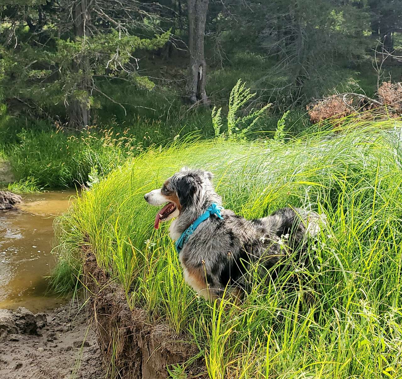 Plum Creek Canyon Ranch