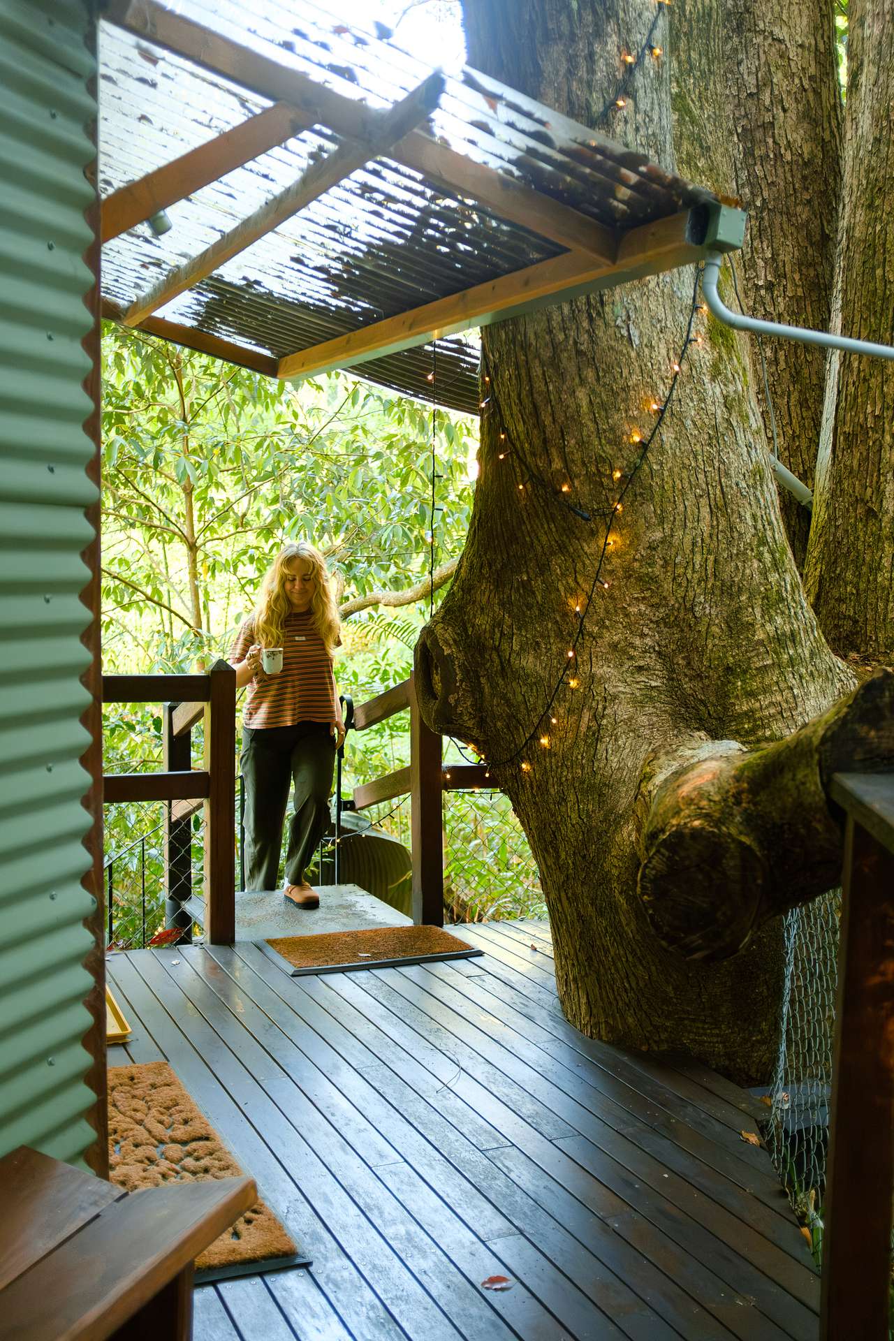 Crystal Creek Rainforest Treehouse