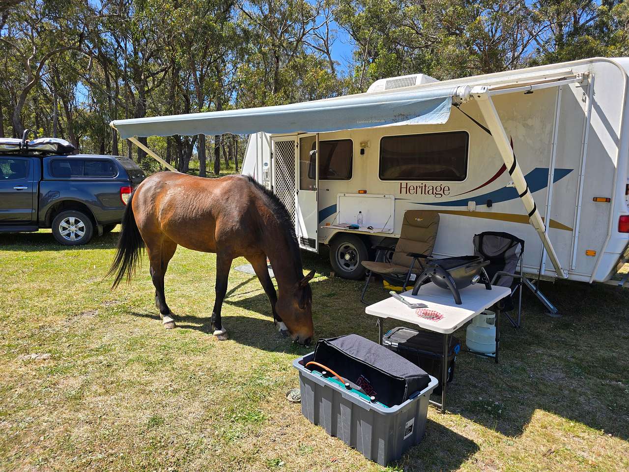 Jindalee Bush camping