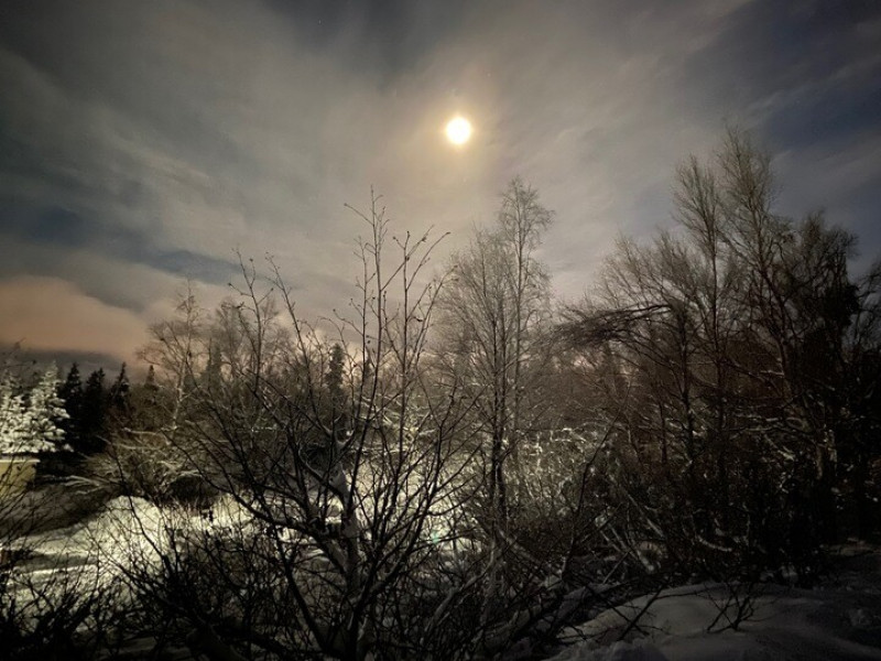 Wild Mountain Acre, Anchorage