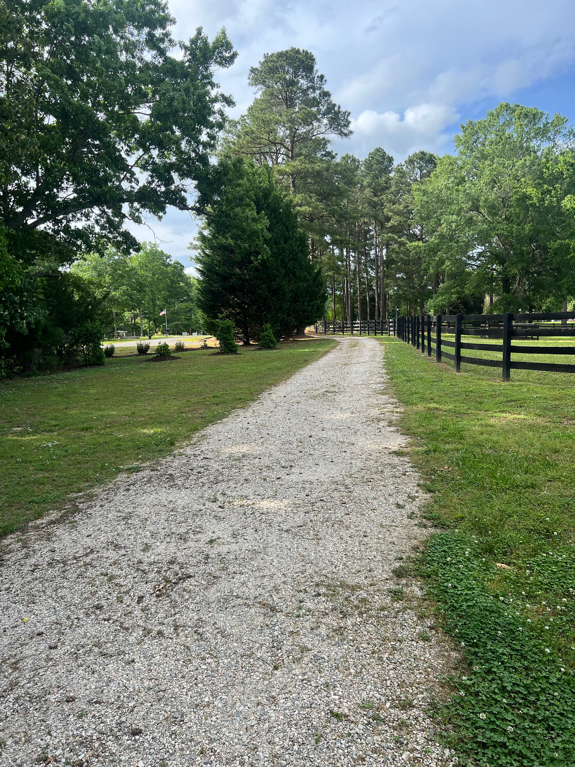 The Pines Horse Farm