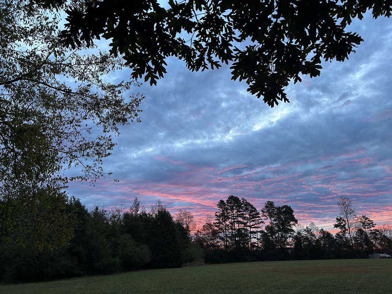 Morning colors 