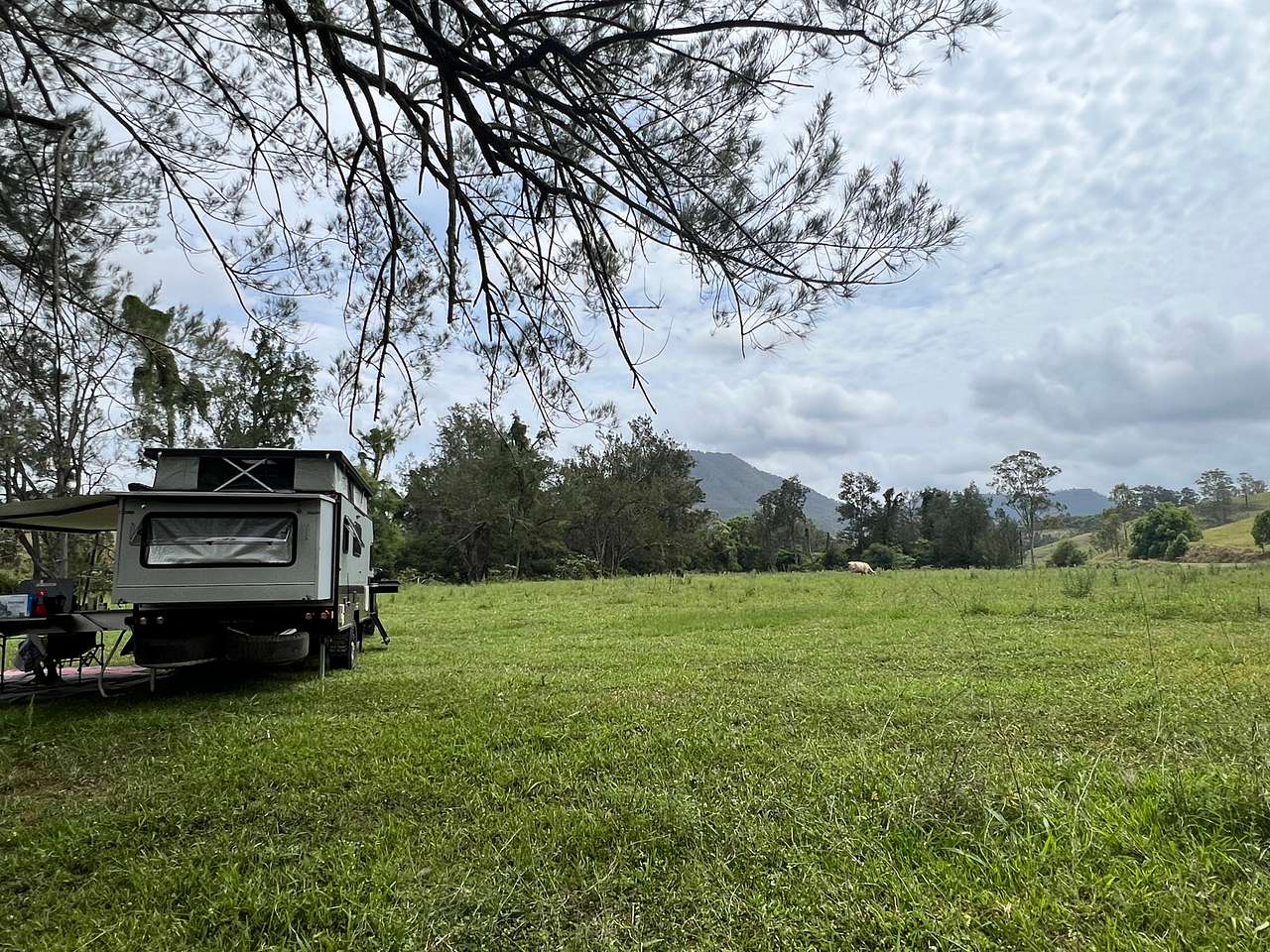 Border Ranges Pastoral