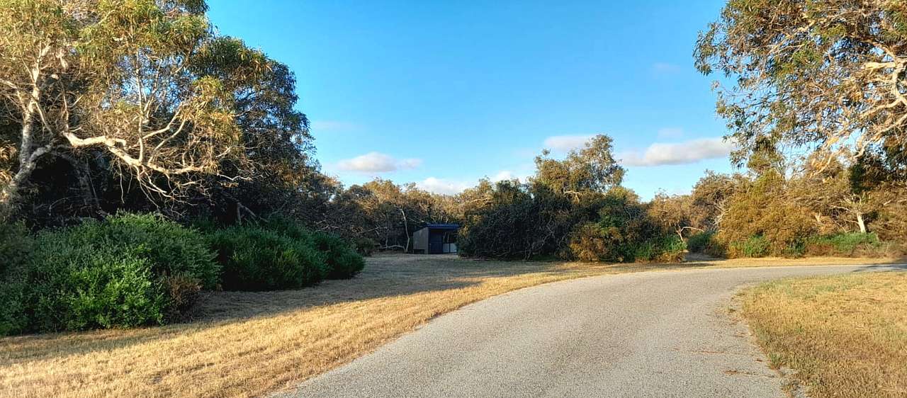 Melaleuca Grove (10 mins North of Dongara)