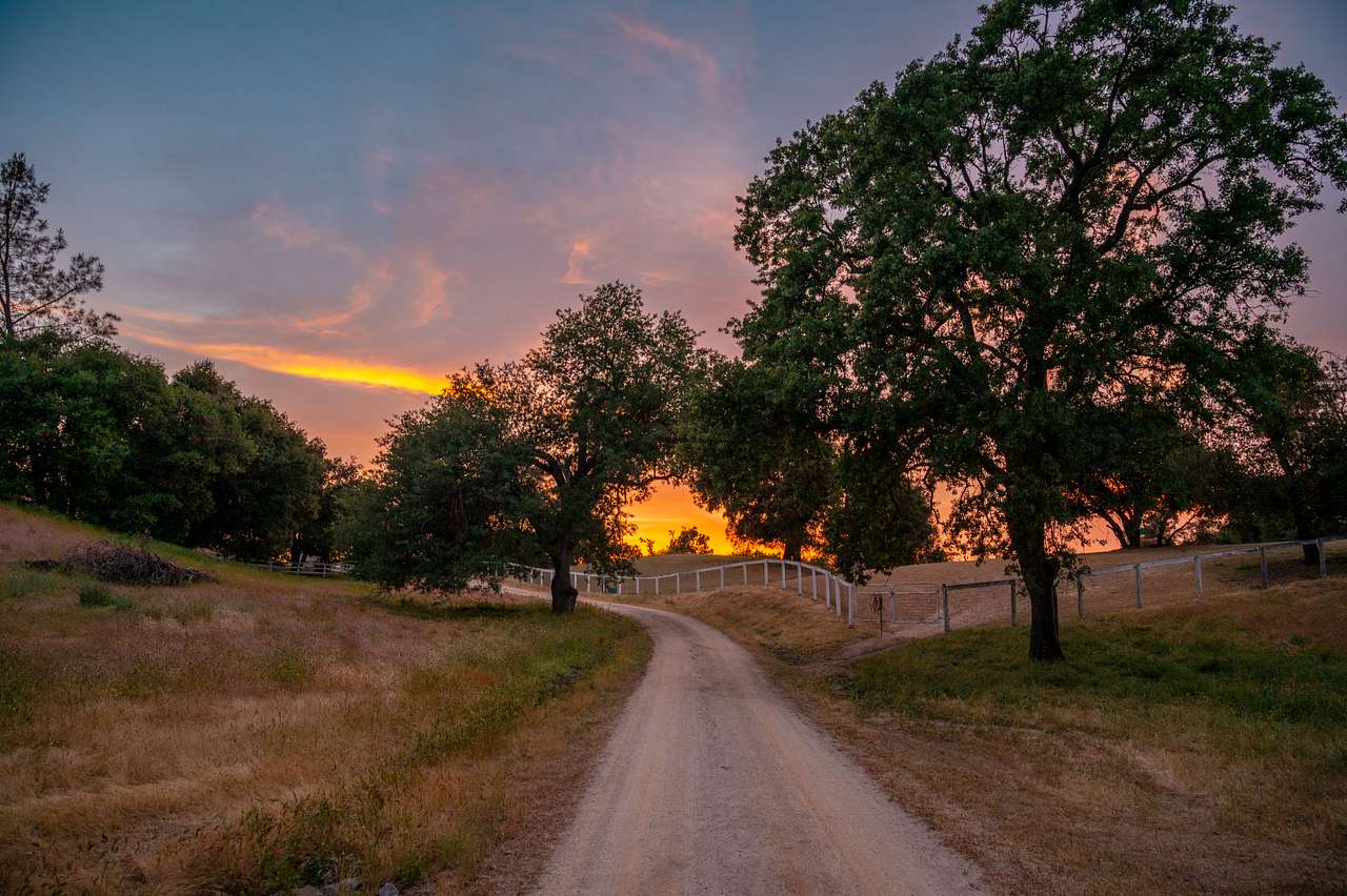 Wolf Six Ranch • Wine Country Stay