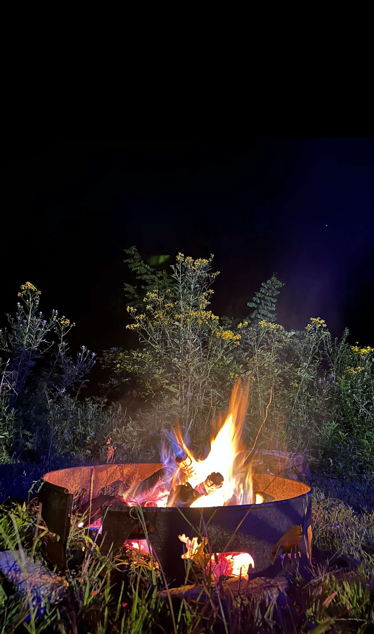 Fish and Fiddle Cabin and RV Sites