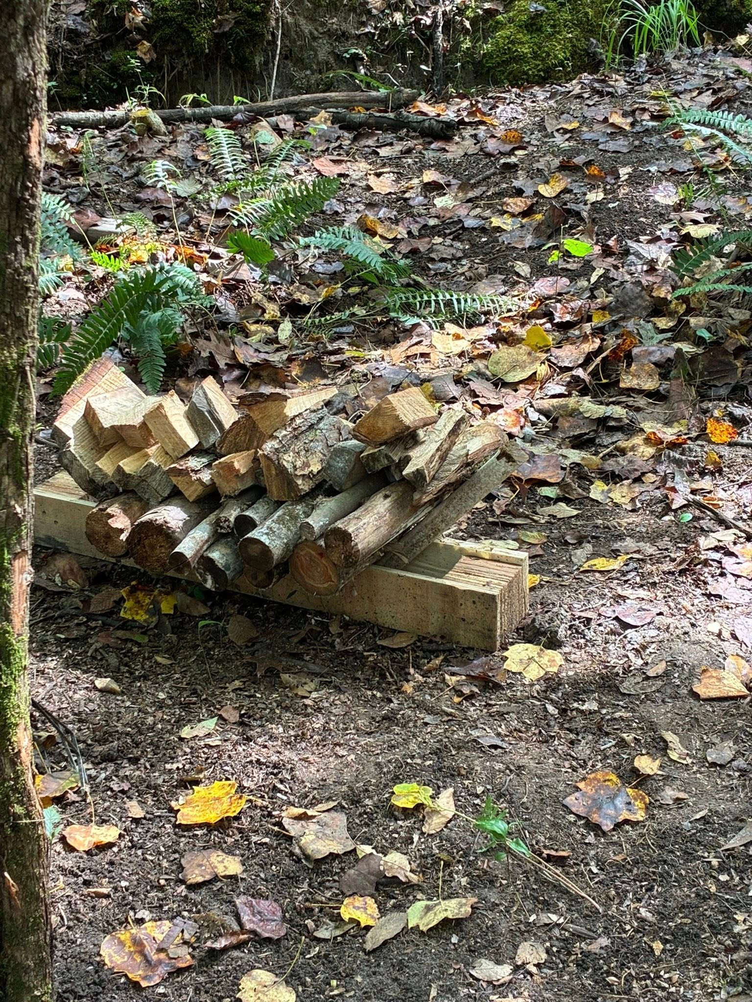 Unlimited firewood