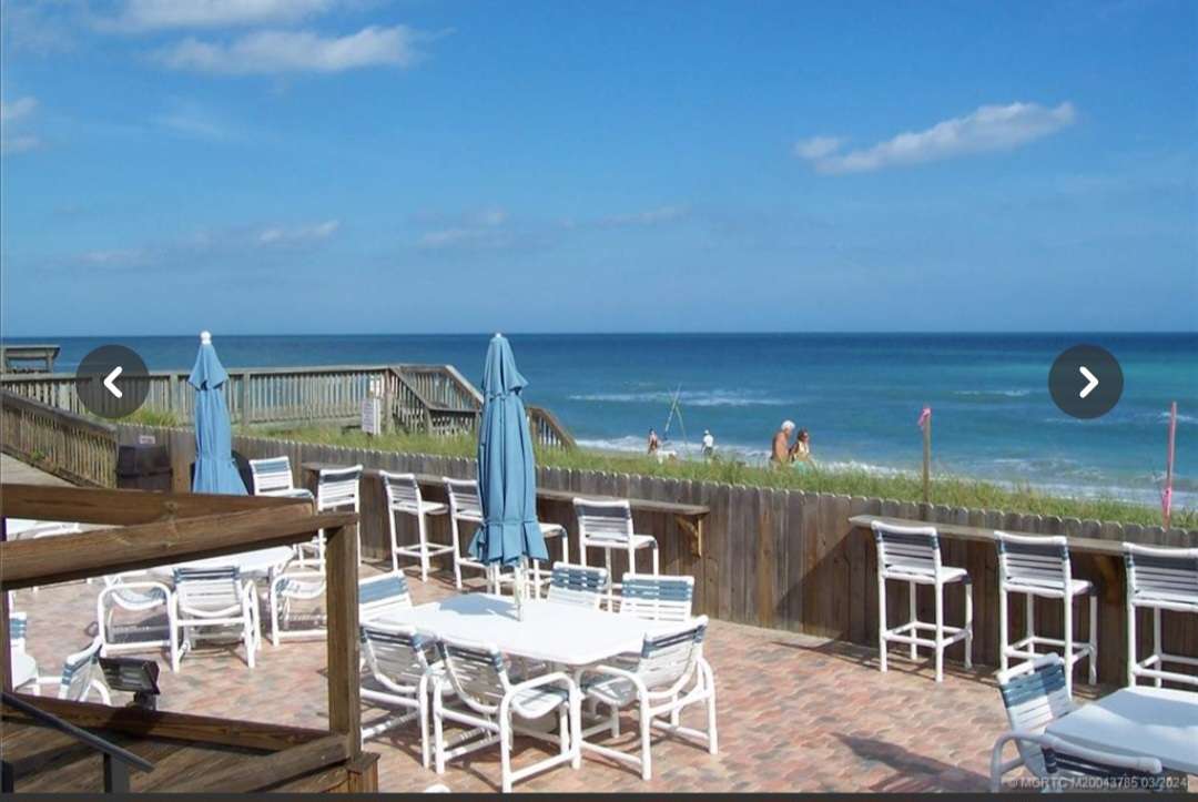 Beach Island Life