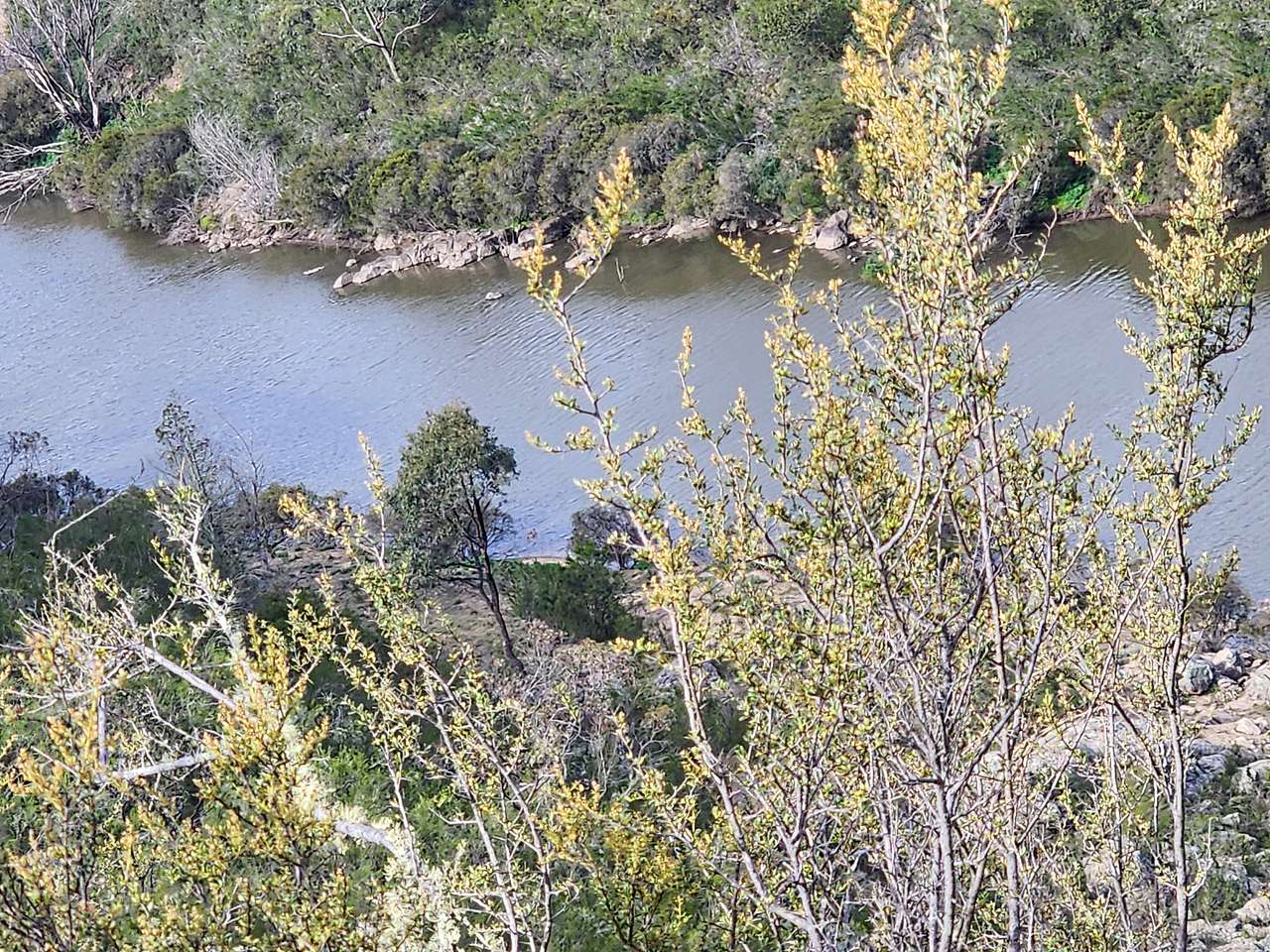 Murrumbidgee River