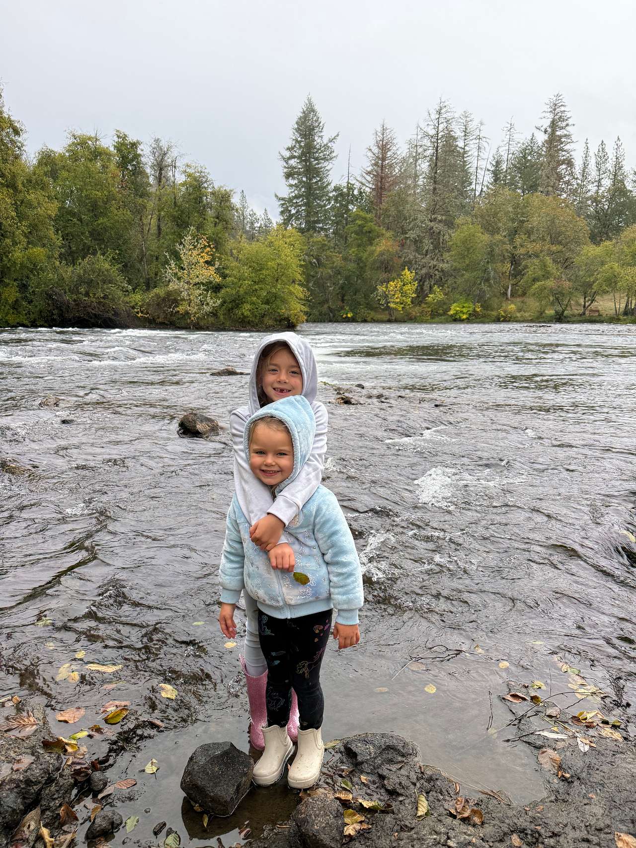 Two Dogs At The River