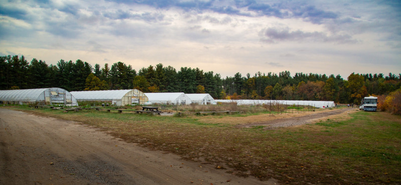 Organic Vegetable Farm
