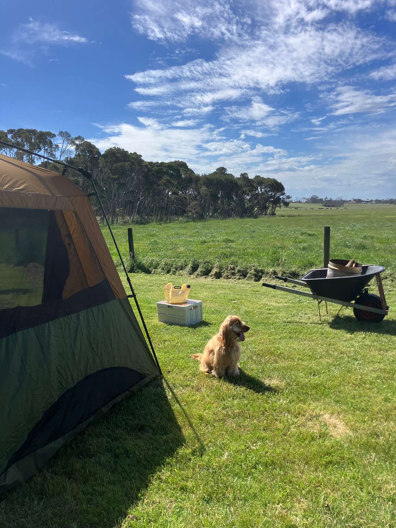 Luke's Farm Camp In North Paddock