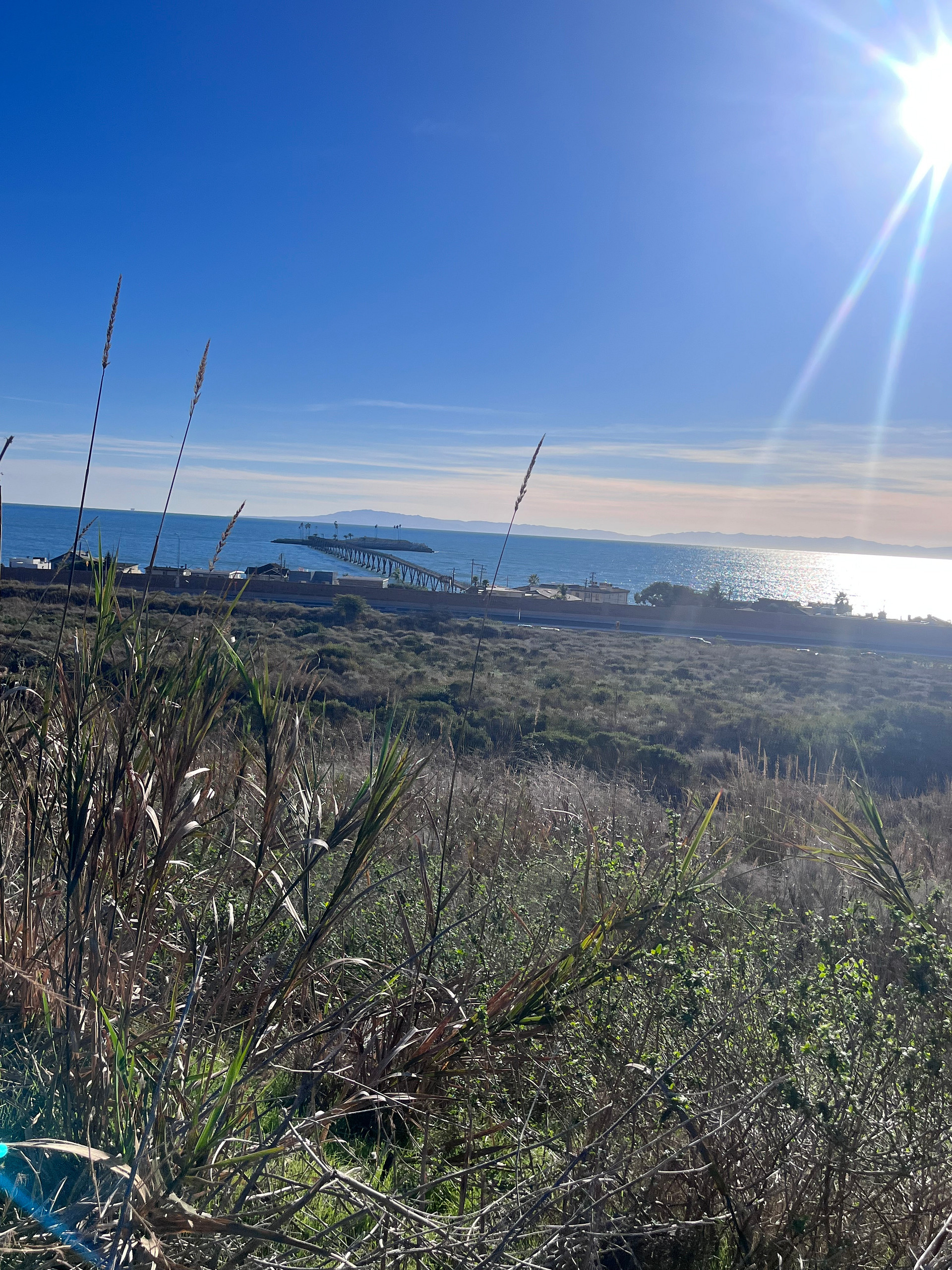 Seaside Acres