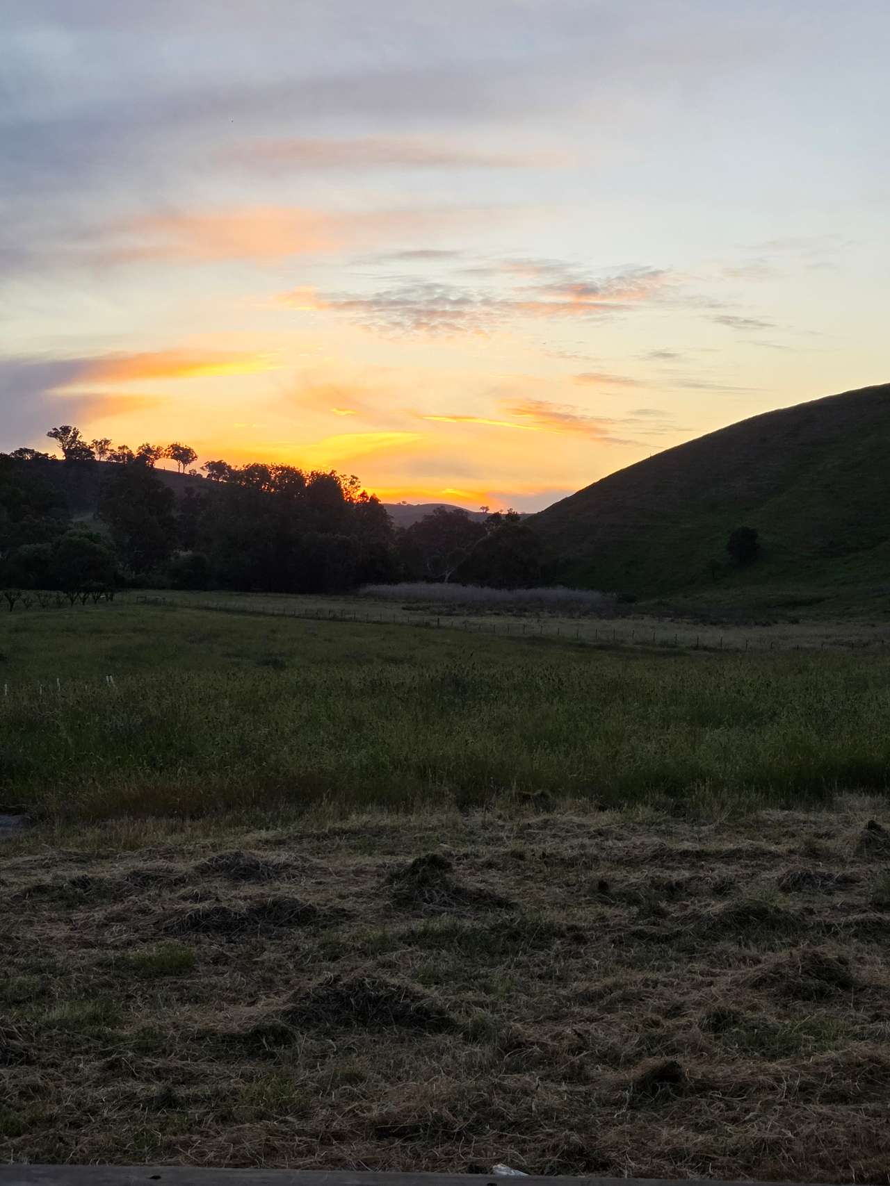 Stoney Creek Sanctuary