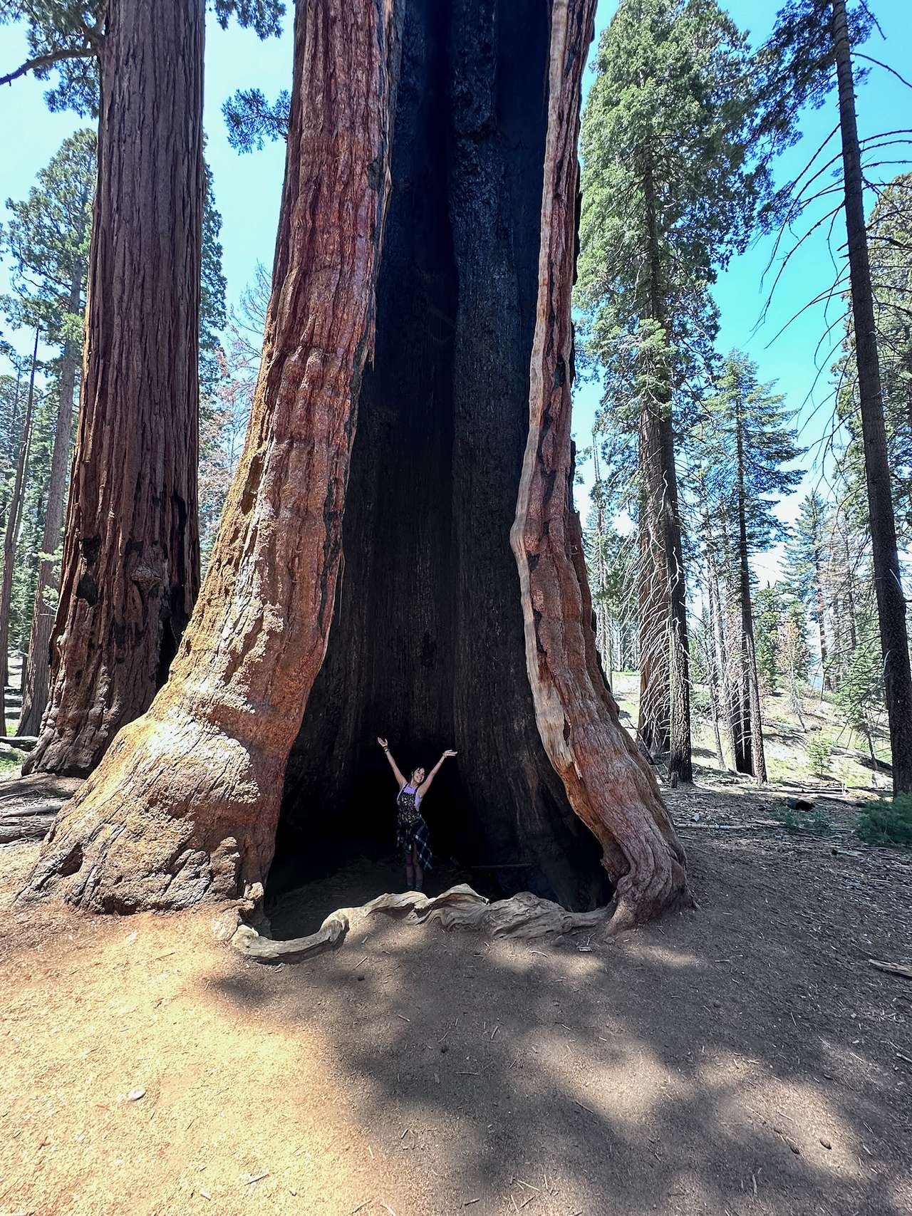 Sequoia Group Camps