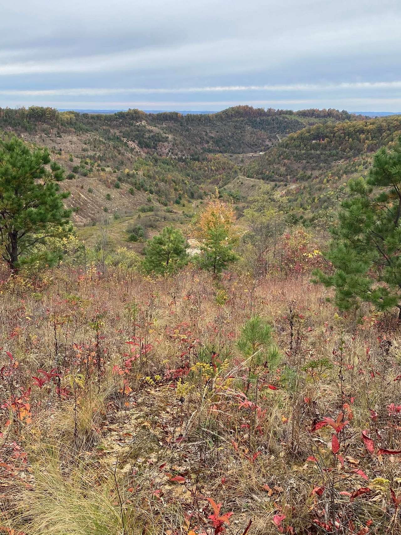 Wilmoth Mountain Retreat