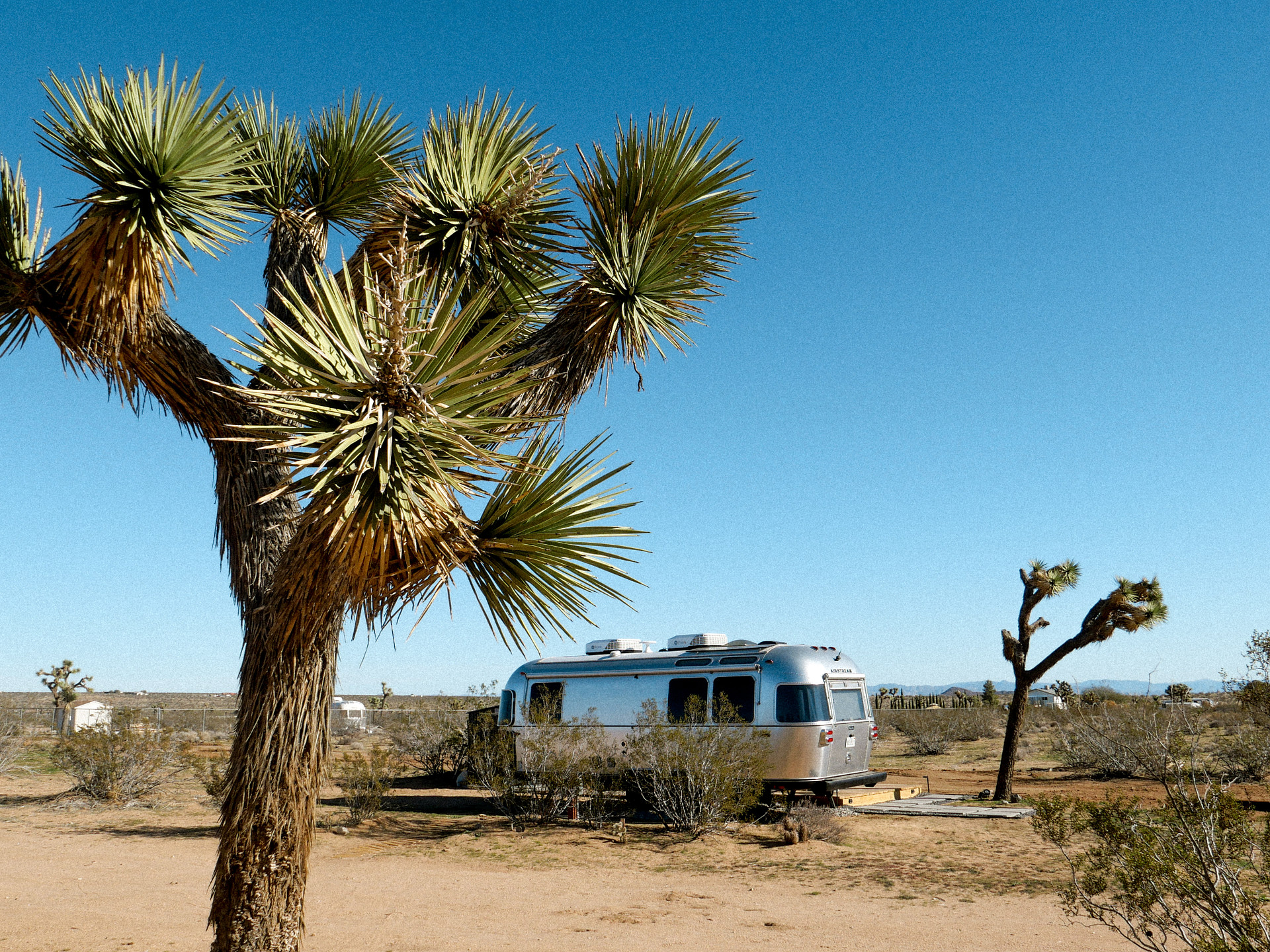 Camp Squish Airstream - Joshua Tree