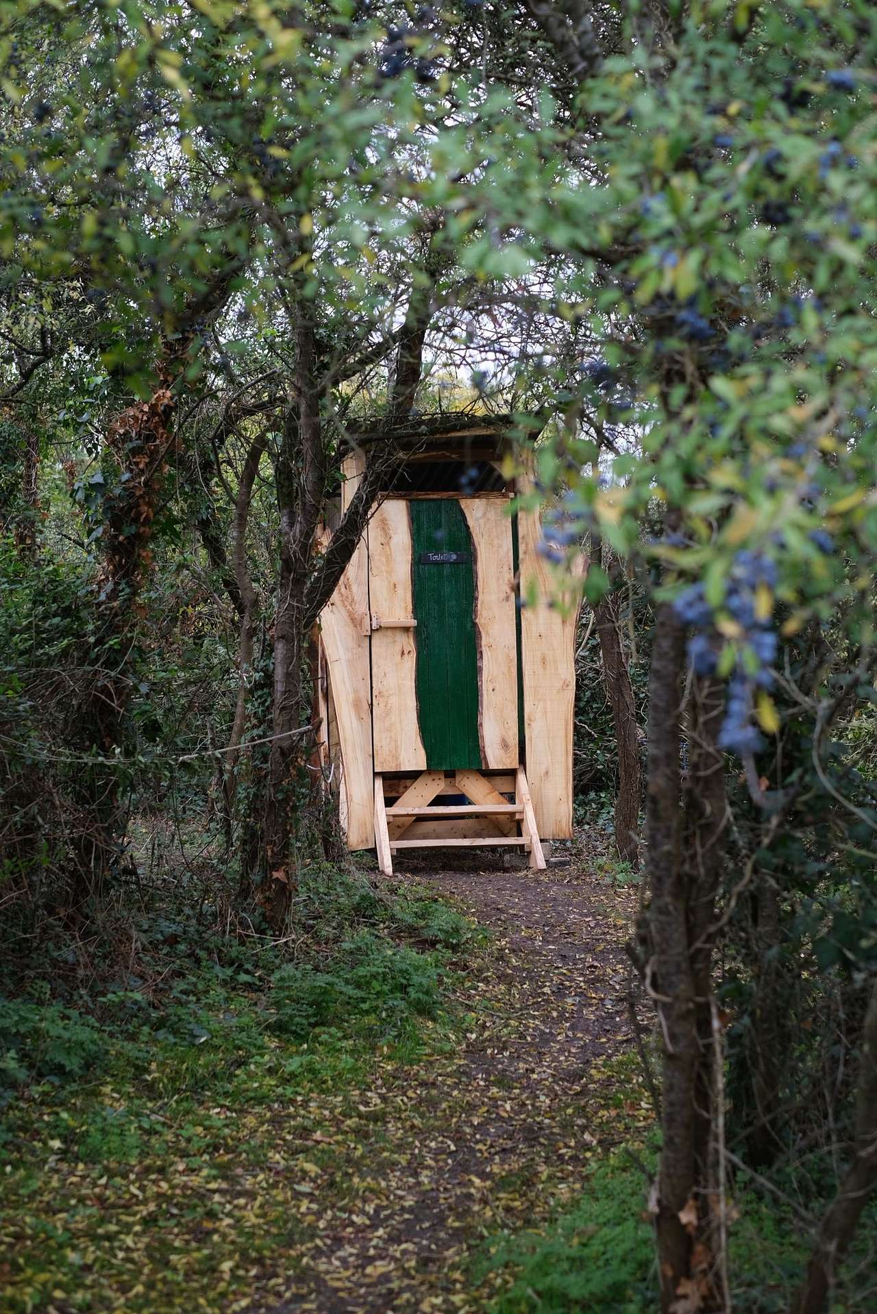 Beautiful clean composting loo made using fallen local trees