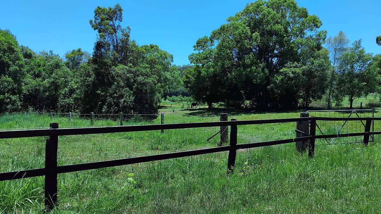 Valery Horse Stayz  Mid North Coast