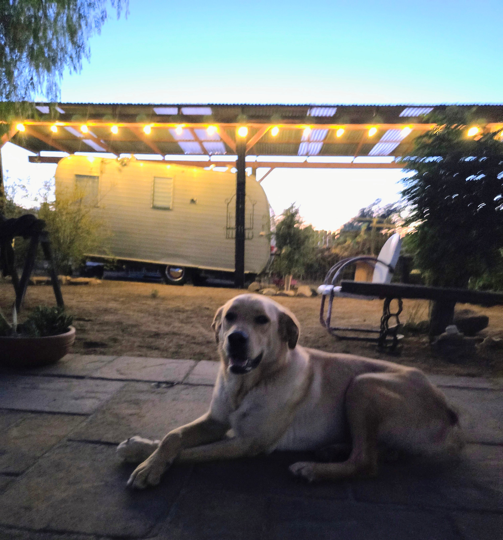 Zen Ranch And Retreat